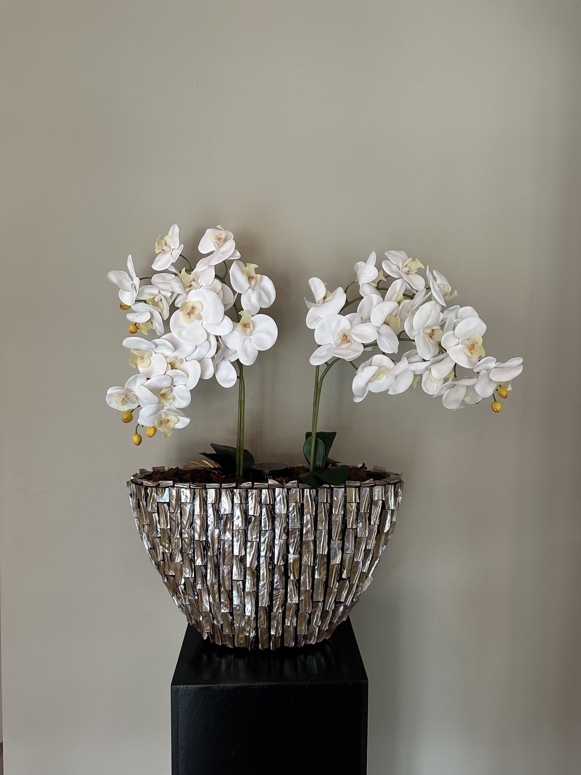 Schelpenvaas ovaal met orchideeën en geurdiffuer