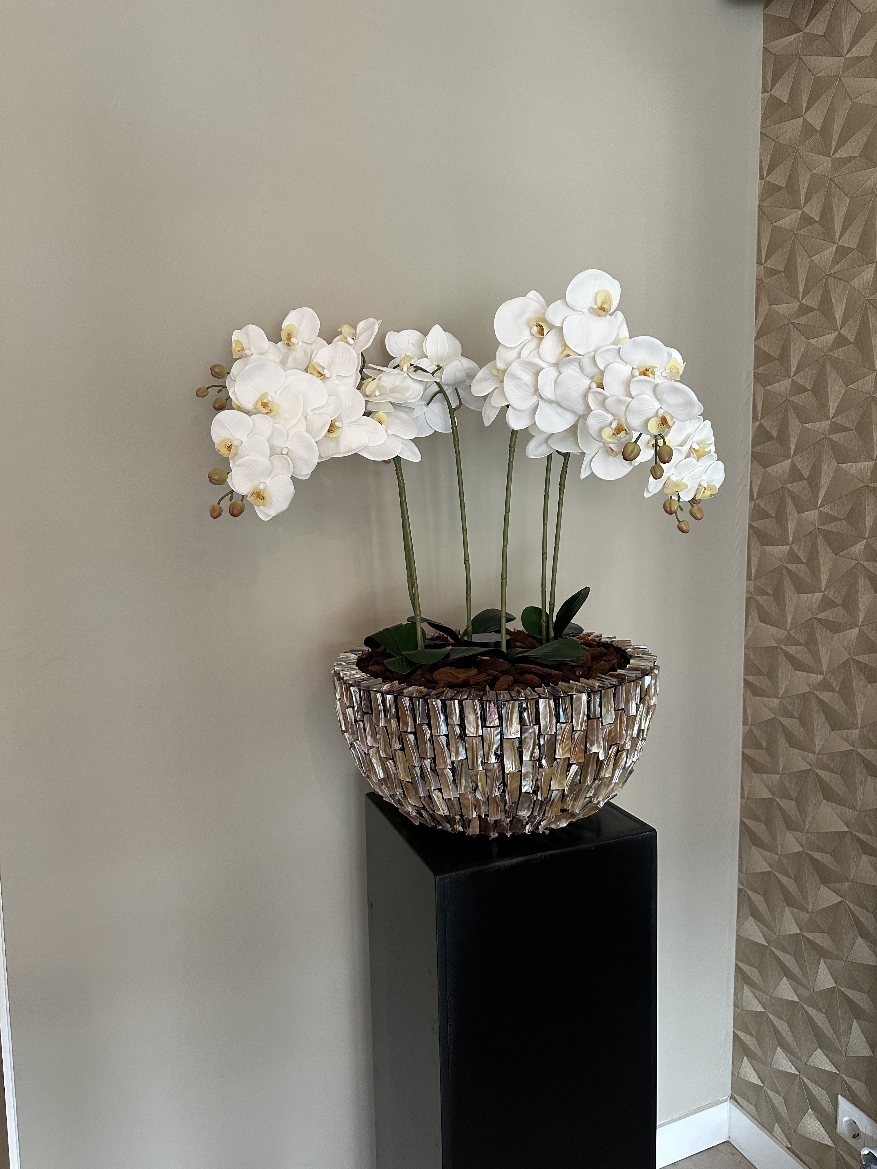 Schelpenvaas rond met orchideeën