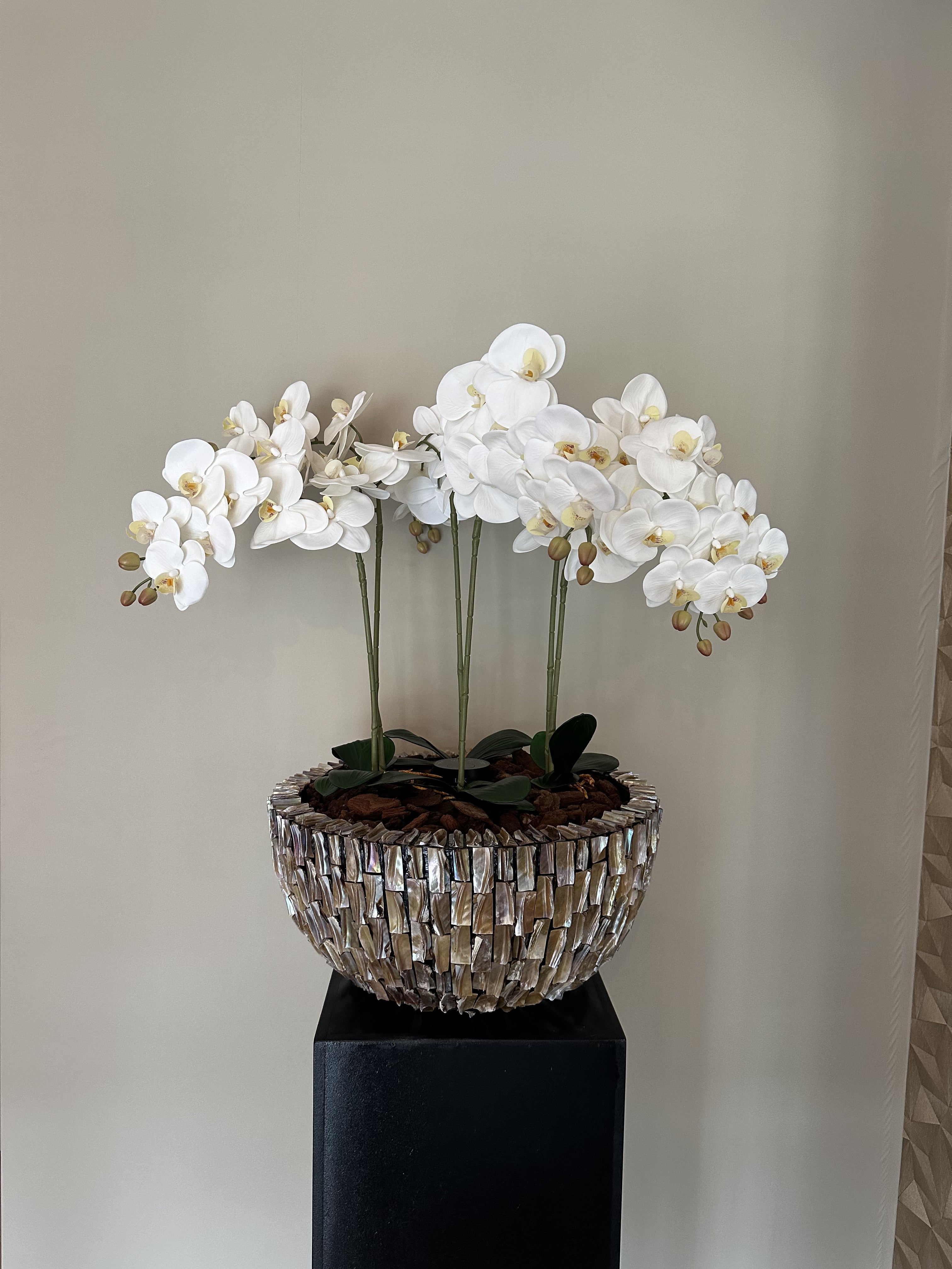 Schelpenvaas rond met orchideeën
